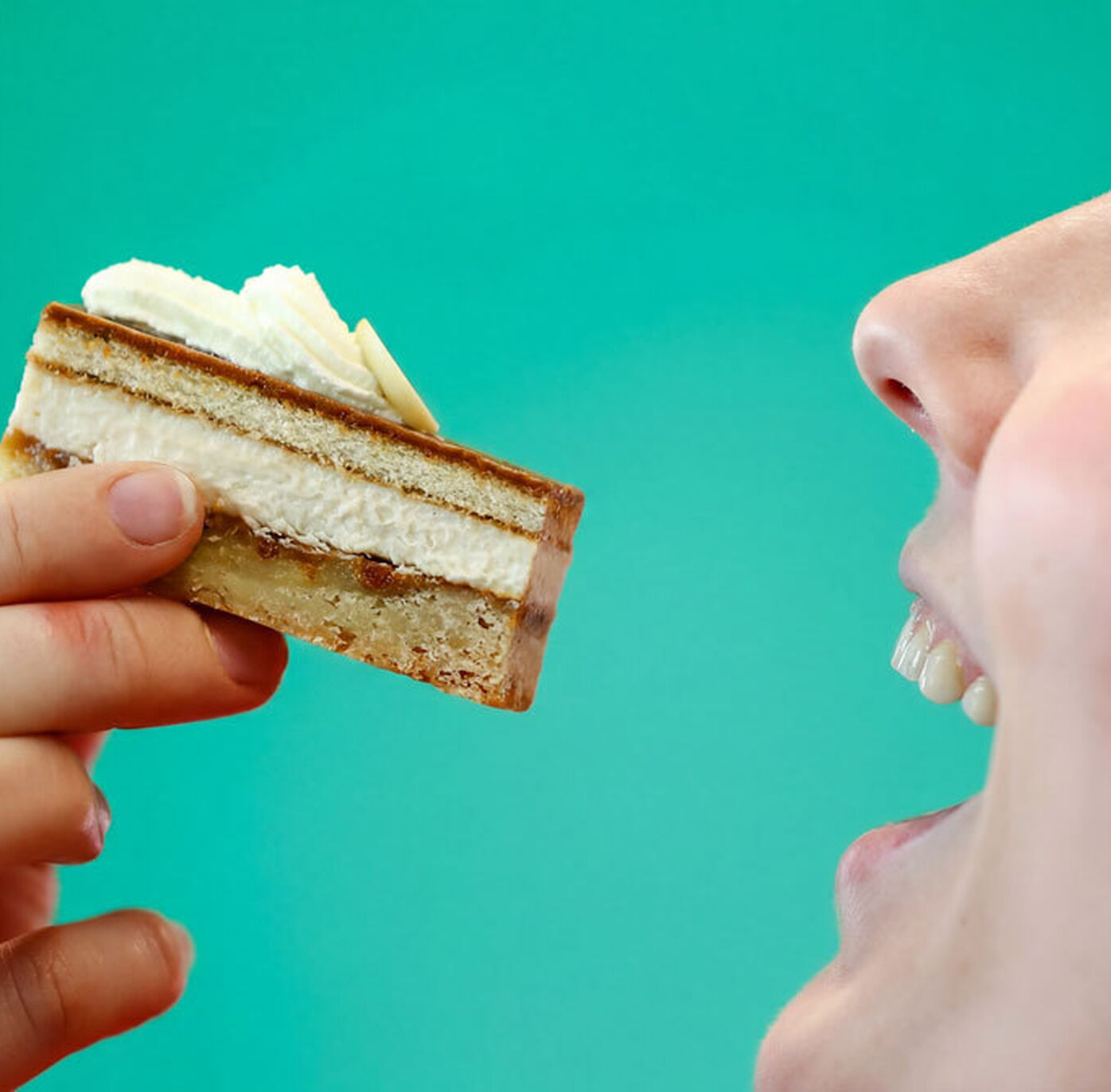 Bite bente